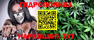 ECSTASY Дубна