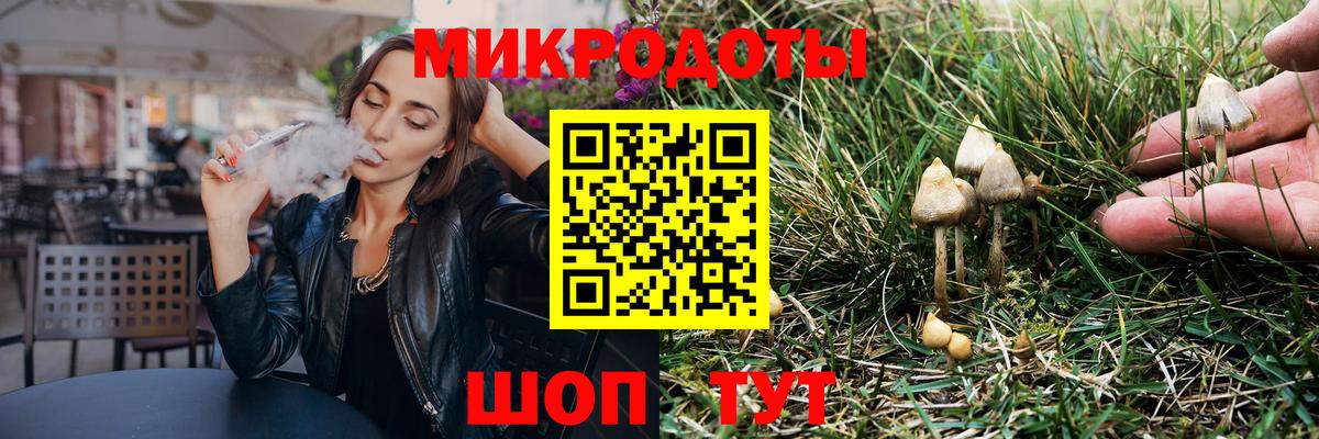 Псилоцибиновые грибы Psilocybine cubensis Мирный