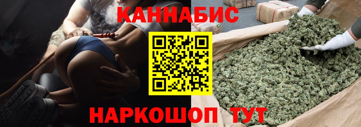 Шишки марихуана план  Шишки марихуана Bruce Banner  МАРИХУАНА Bruce Banner  Вход с VPN  Мирный 