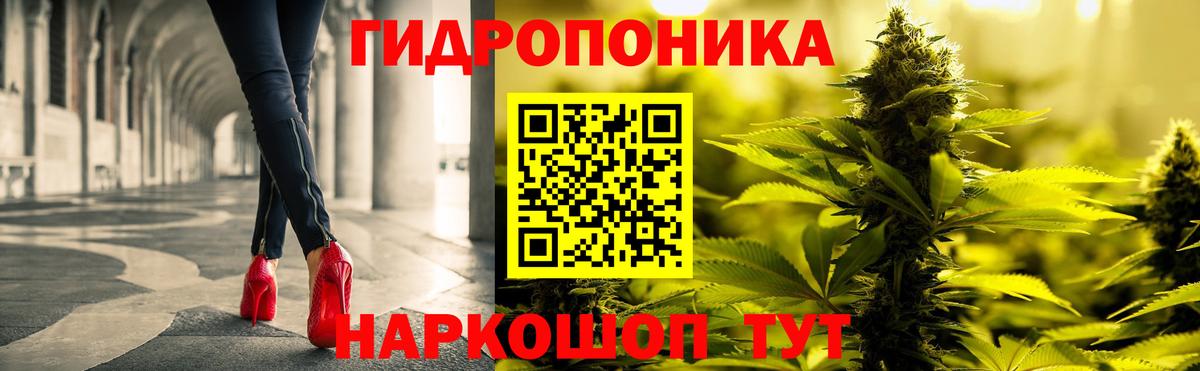 Бошки марихуана OG Kush Мирный